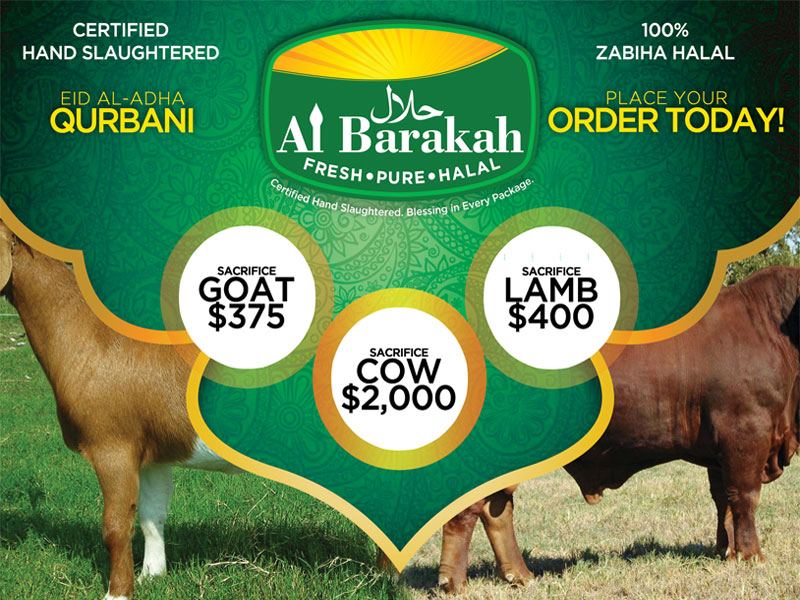 Al Barakah : Postcard